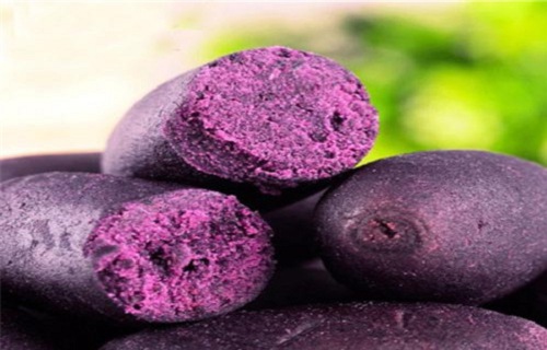 紫甘薯粉（热风干燥）糕点馅料烘焙原料支持加工定制