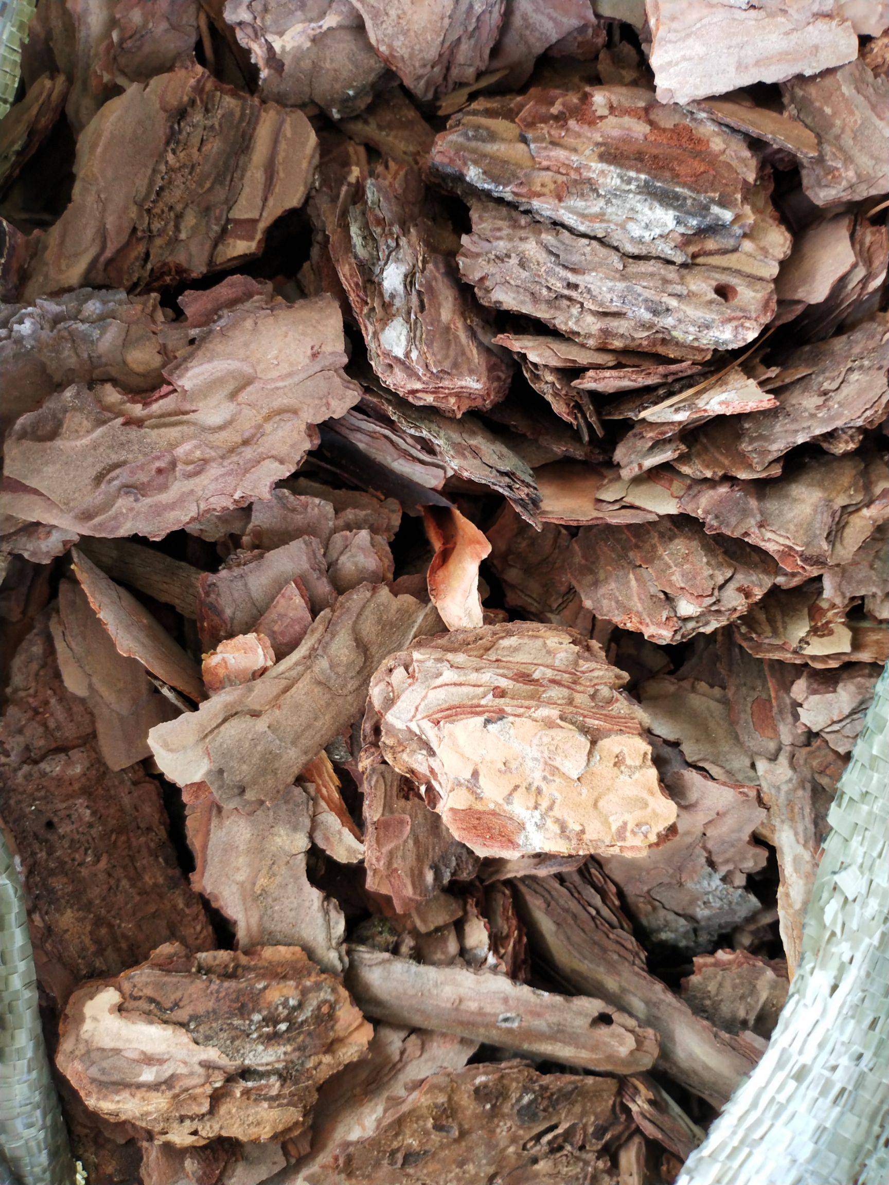 泸州
打磨松树皮
生产