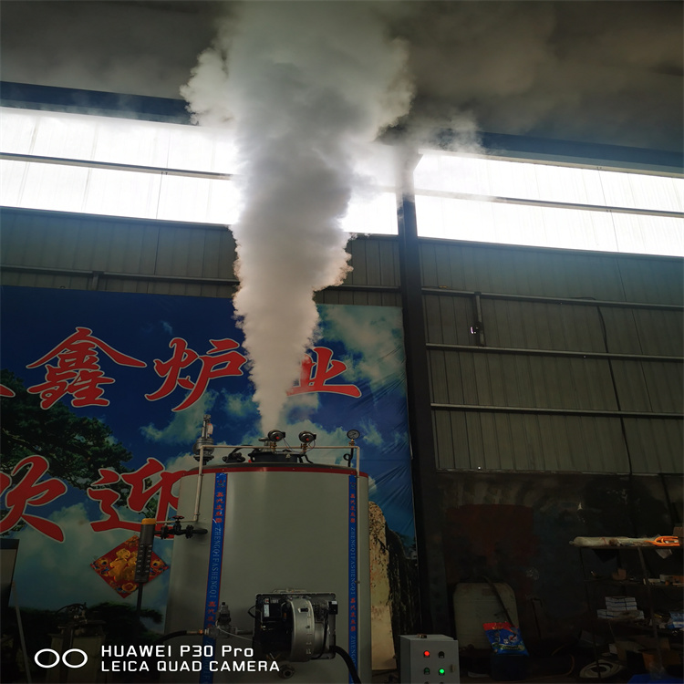 四川南充300公斤蒸汽发生器应用